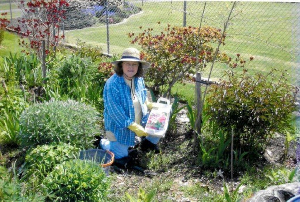 Darlene Walta Hanson