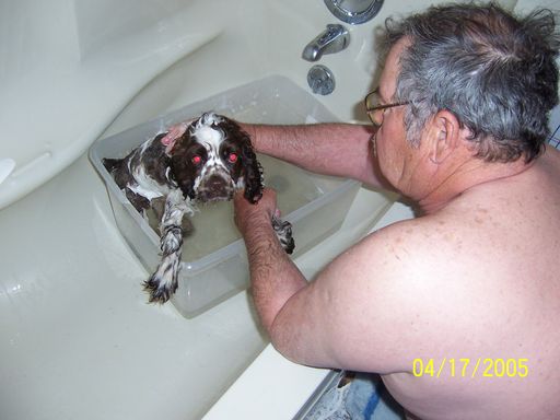 Gary L. Hall photo gallery thumbnail 24 of 354