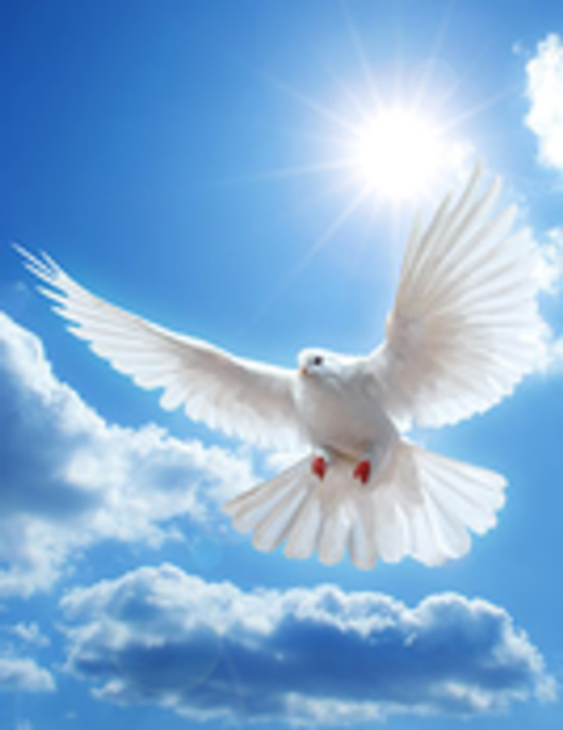 Kenneth  R. Anderson