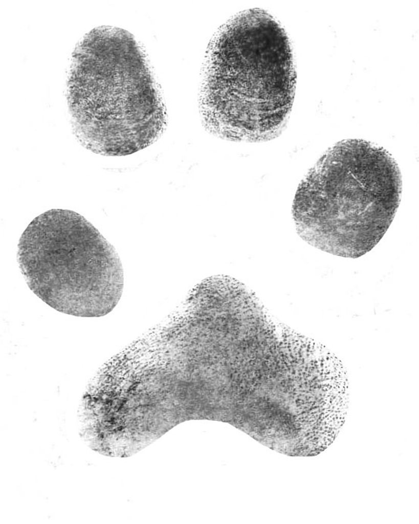 Goo Quartochi Profile Photo