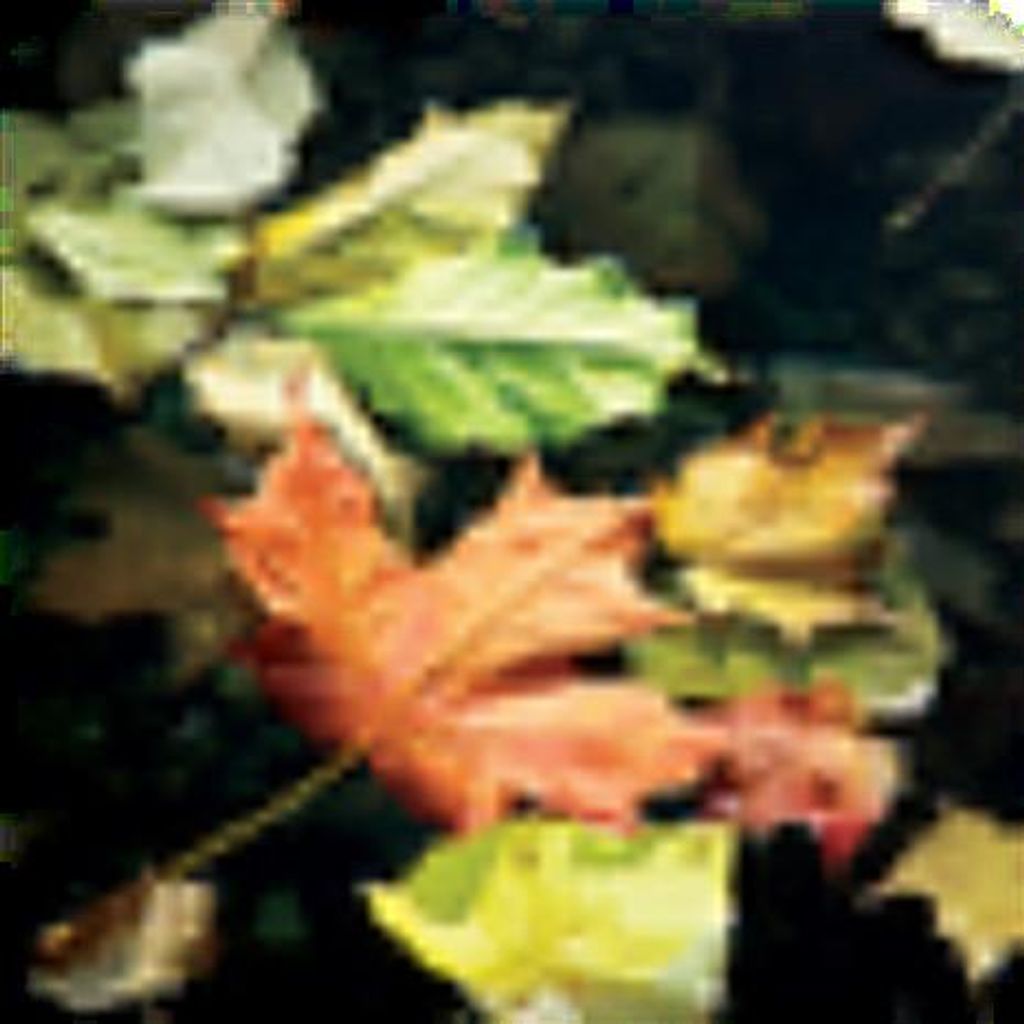 Jimmy Rubi Profile Photo