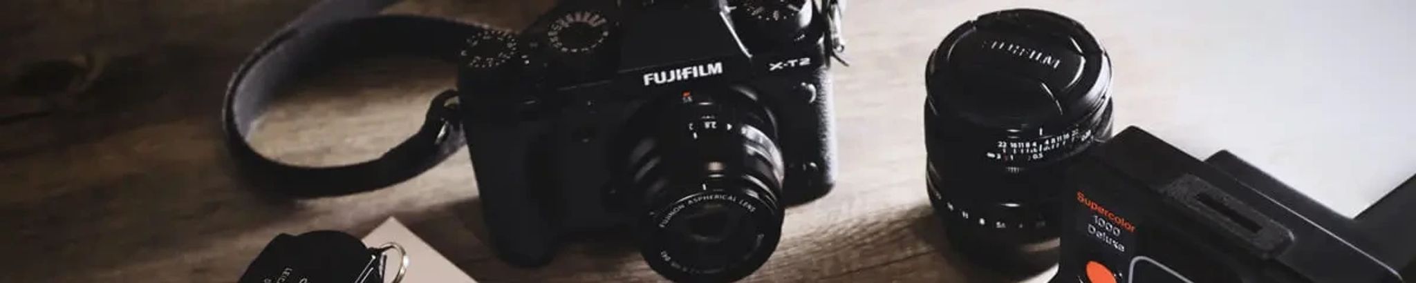 Cover for Jill Koch's Obituary