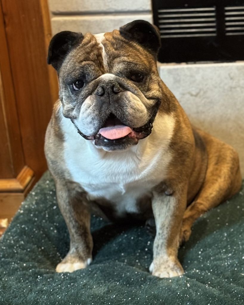 Penelope "Nelly" Profile Photo