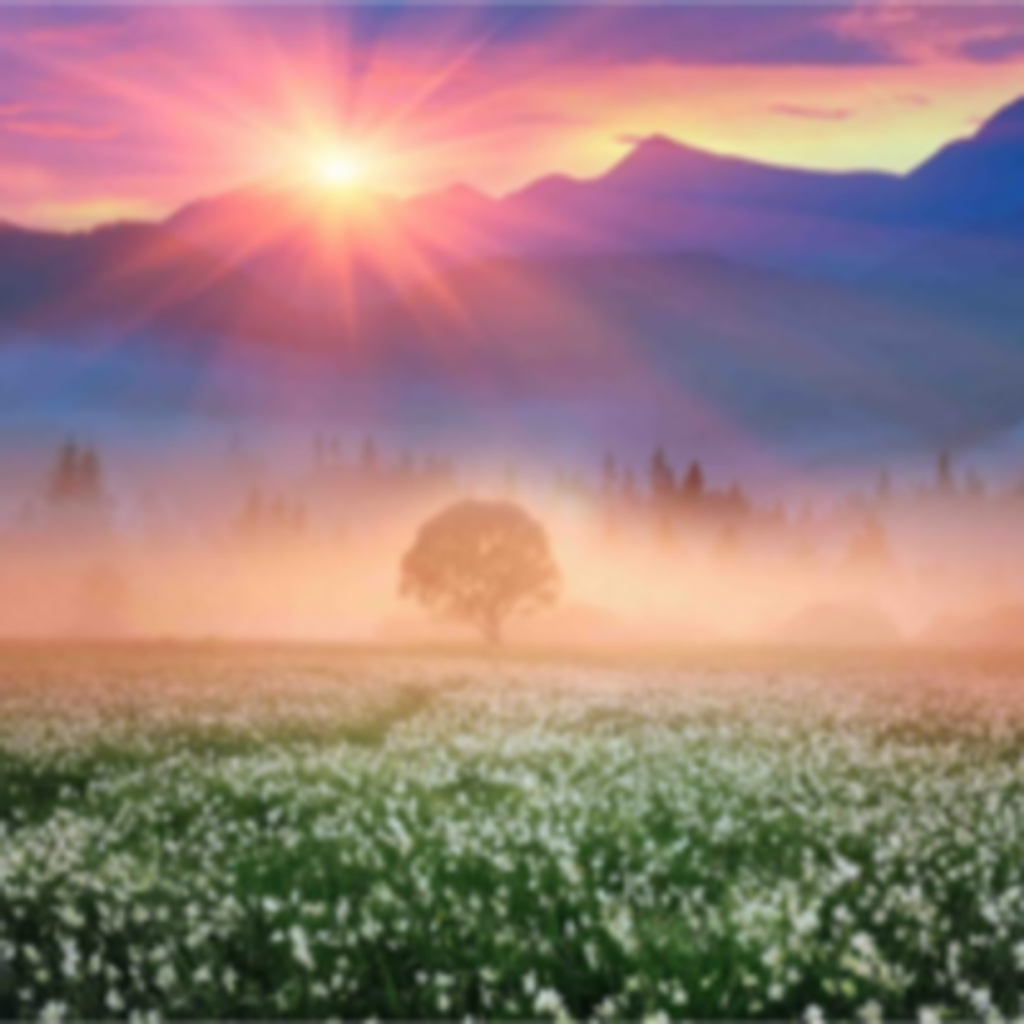 Harriet Benson-Hashimoto