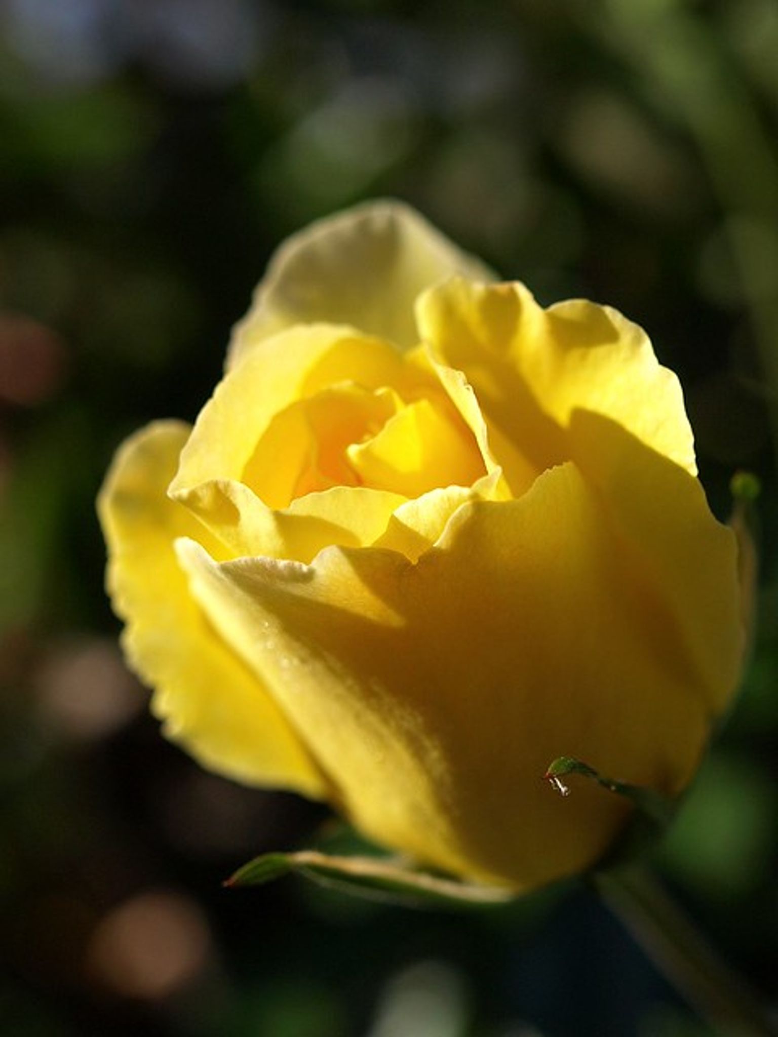 Cover photo for Neta Lee Barbour Womble's Obituary