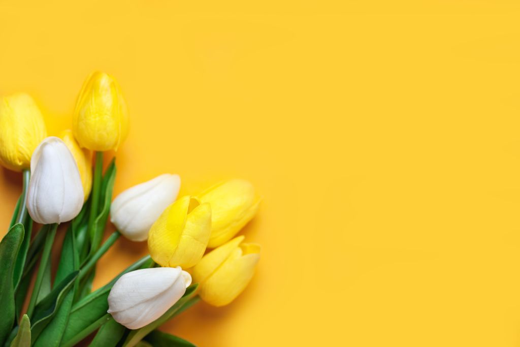 Start Spring with a Plan