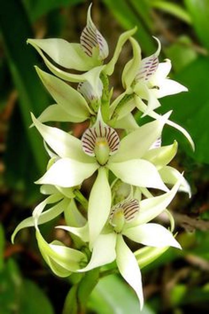 Anita M Gill Profile Photo