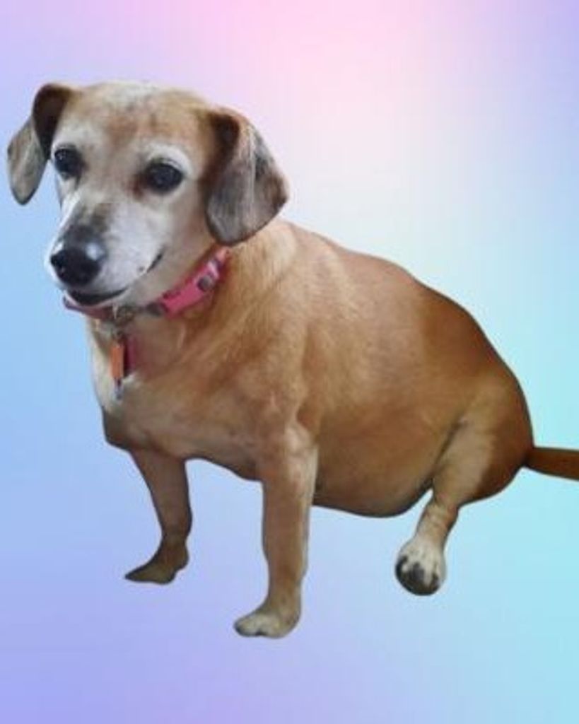 Willow Weber Profile Photo
