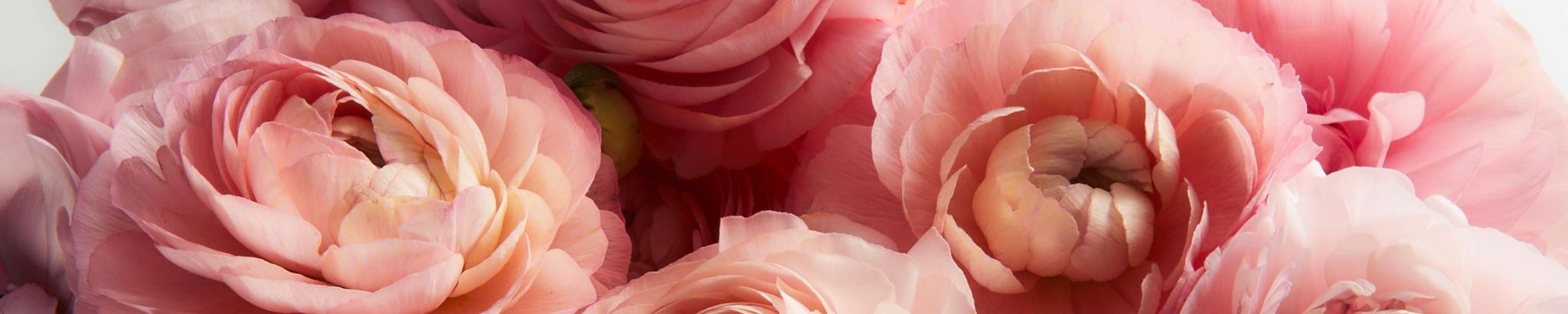 Cover photo for Manuela Hernandez De Martinez's Obituary
