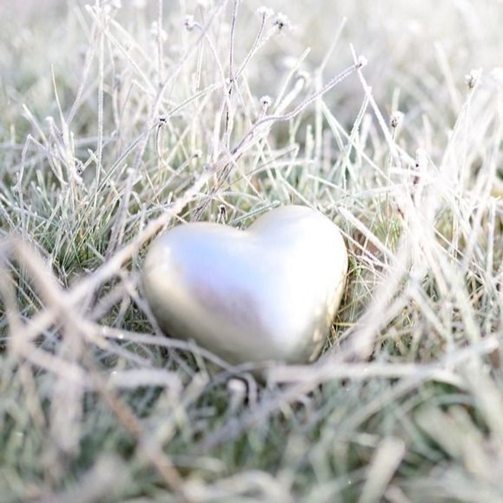 Ursula Rizzo Profile Photo