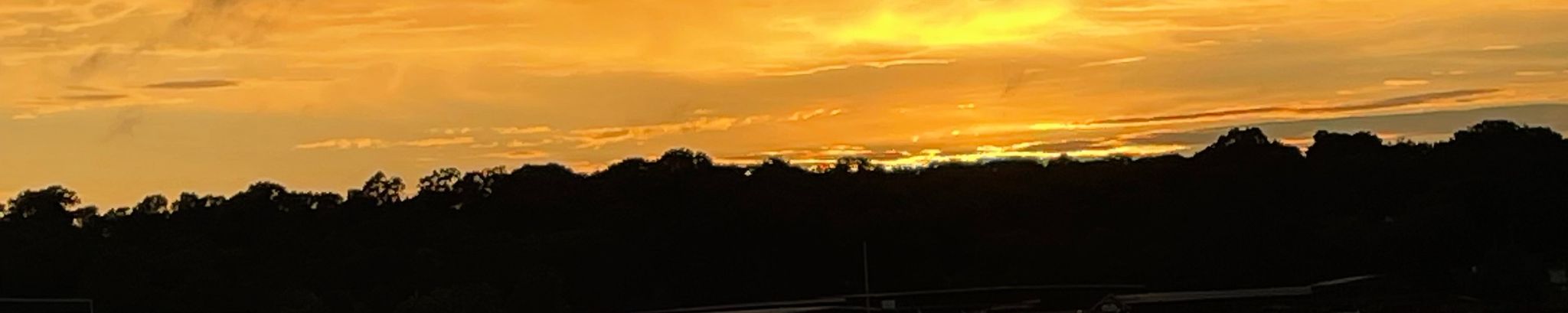 Cover for Dillard Tutor's Obituary