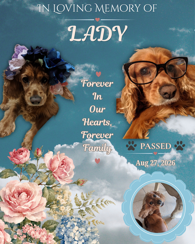 Lady Profile Photo