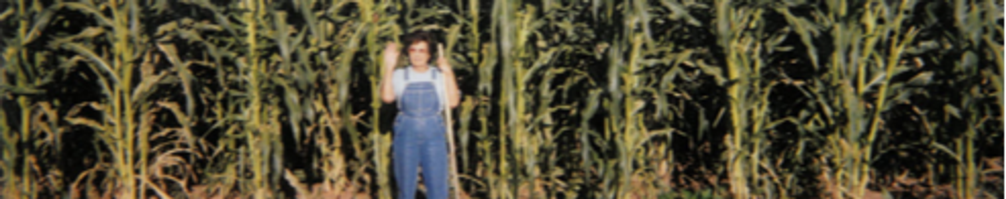 Cover photo for Ema "Gloria" Sanchez's Obituary