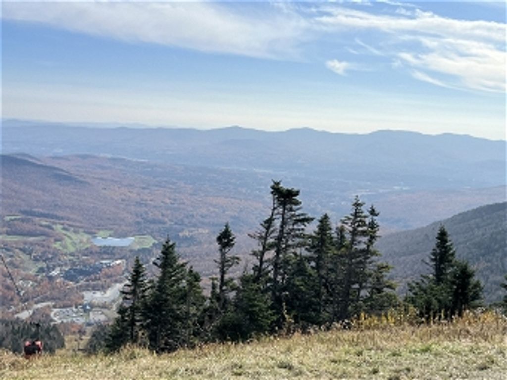 Thomas C. Gheer Profile Photo