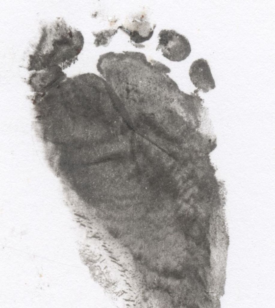 Skylynn Hazel Comstock