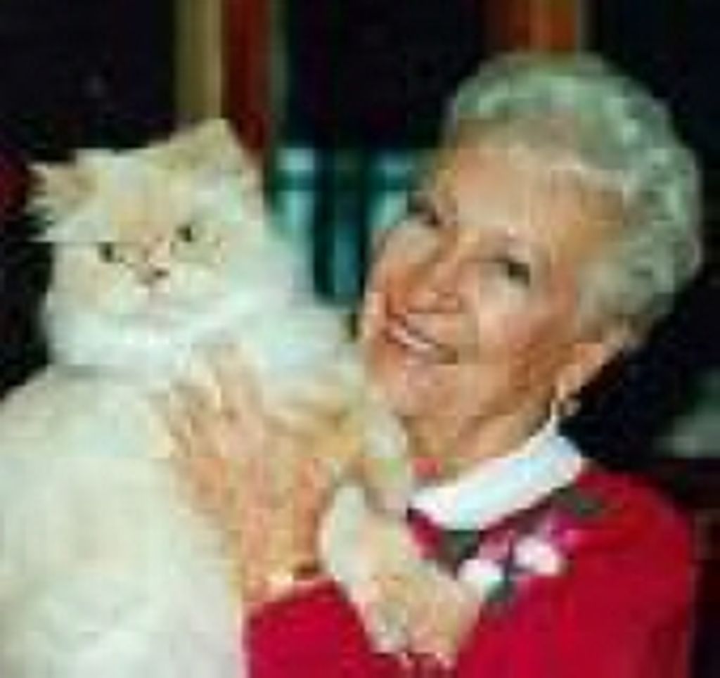 Angeline  H. Burney