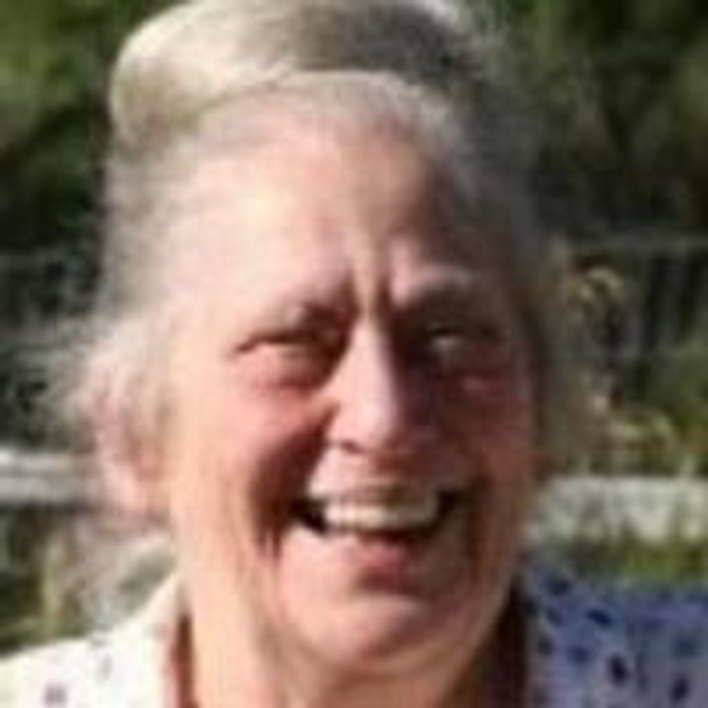 Carol Ann Wurth Verploegen Profile Photo