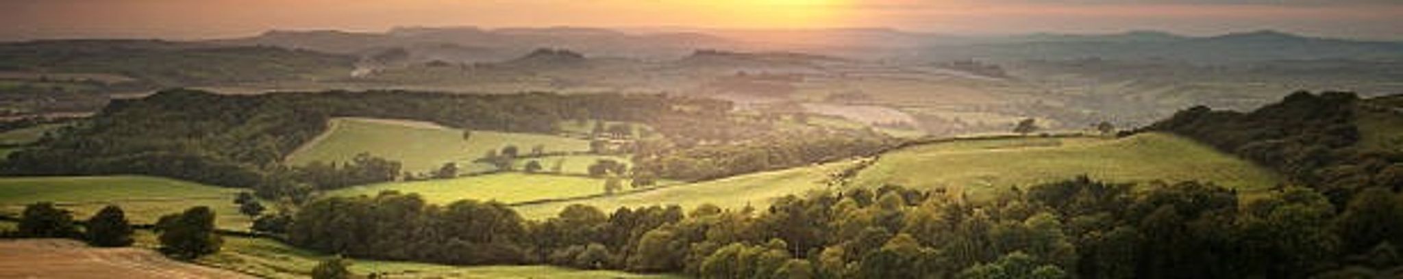 Cover for Albert J. LaMarch's Obituary