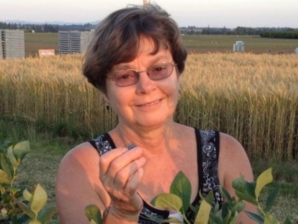 Carol Ann Marcoe Profile Photo