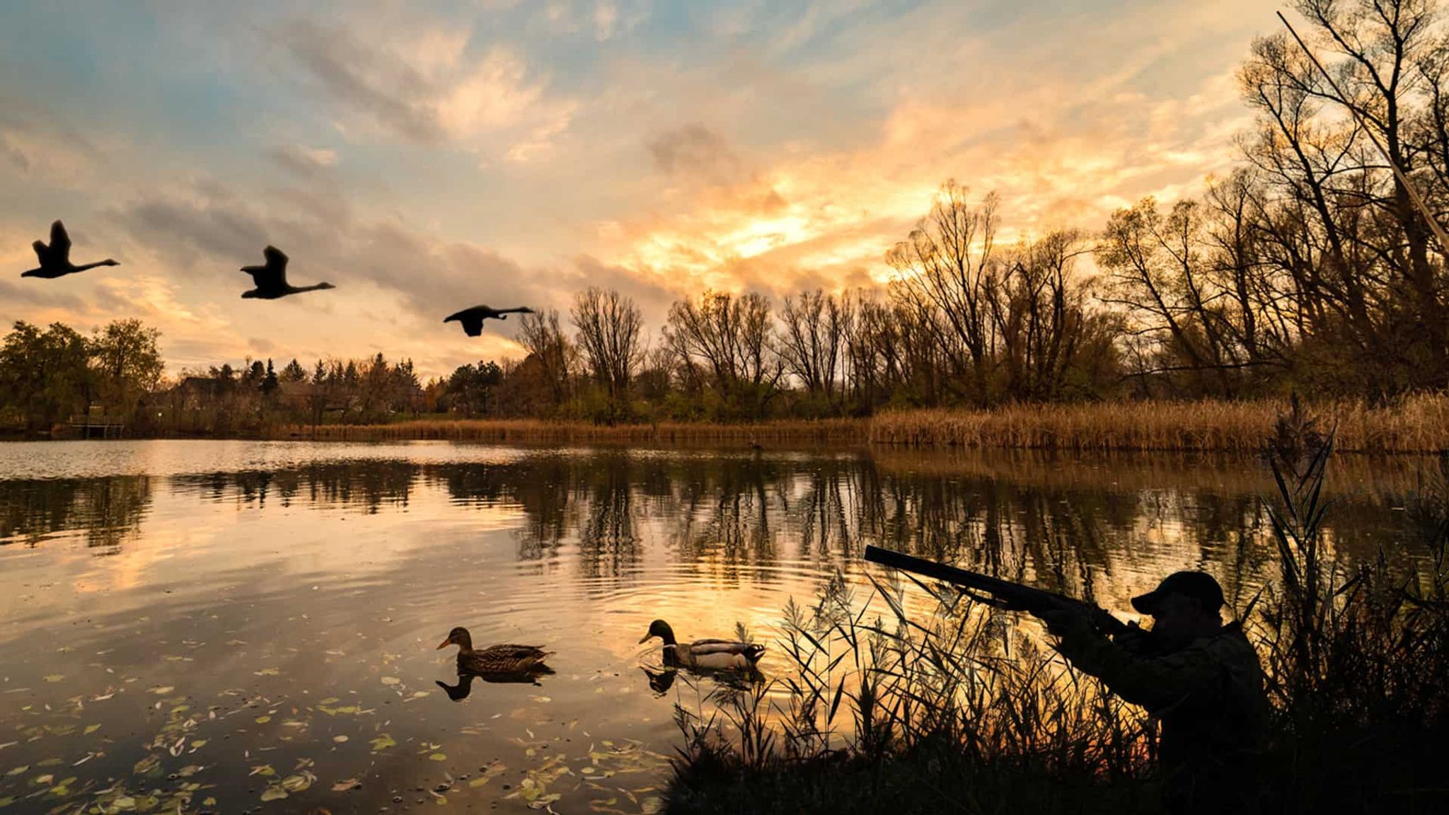 Cover for Jack D. Sattoria's Obituary