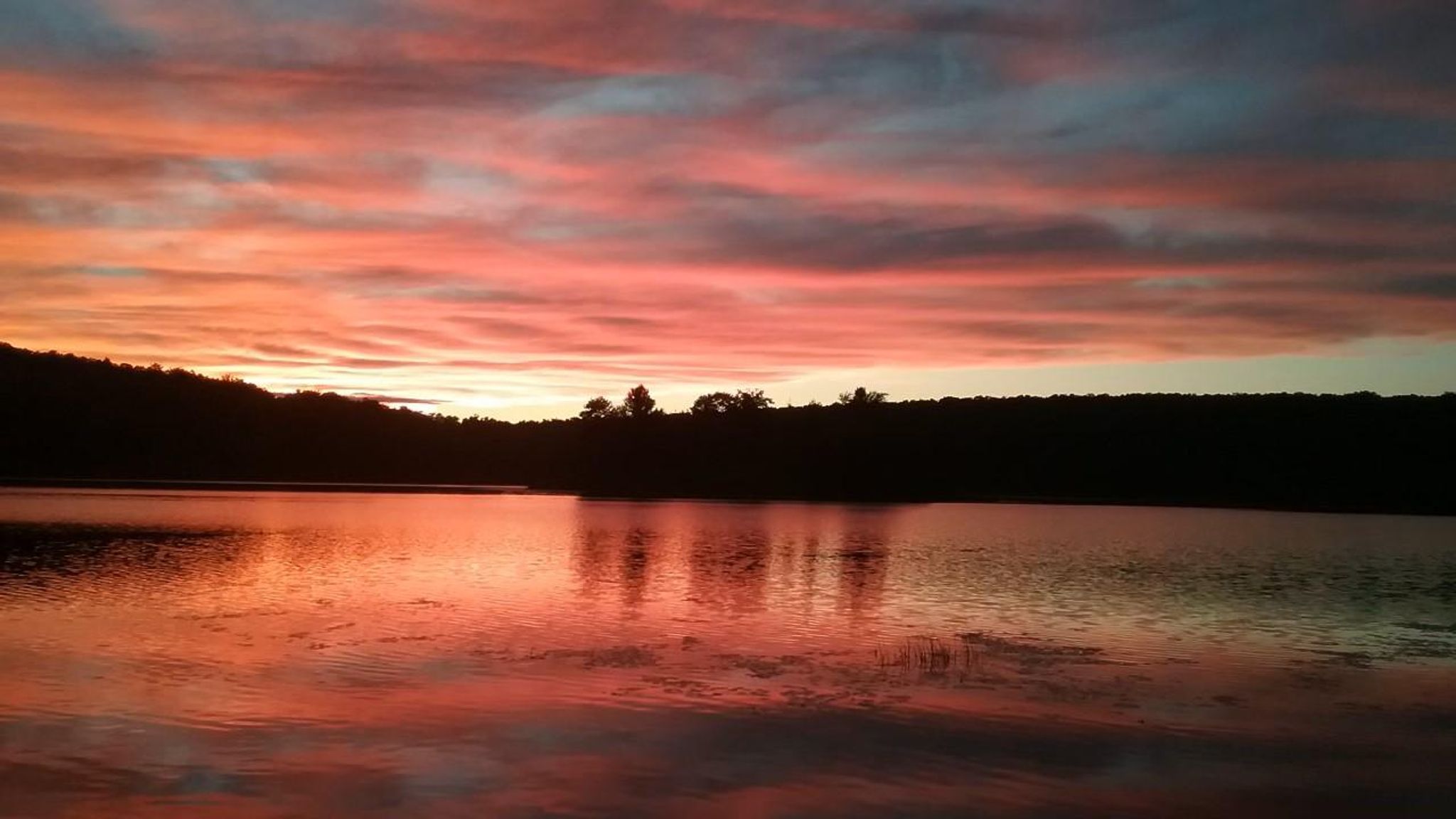 Cover for Fannie Ann Schisler's Obituary