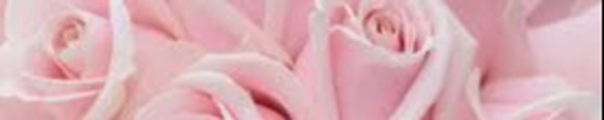 Cover photo for Tammy Hildreth Kantner's Obituary