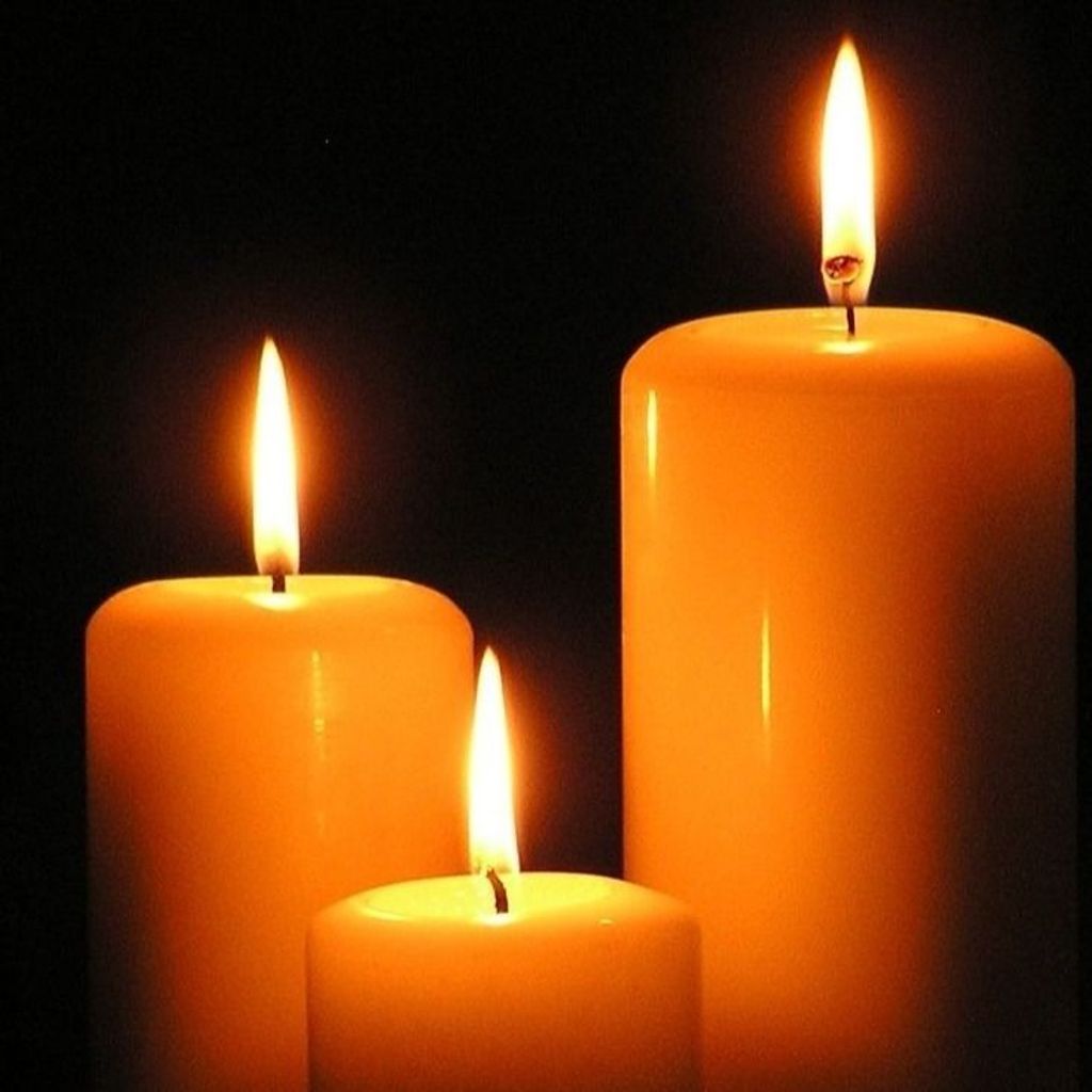 Claire Louise Schlyfestone Profile Photo