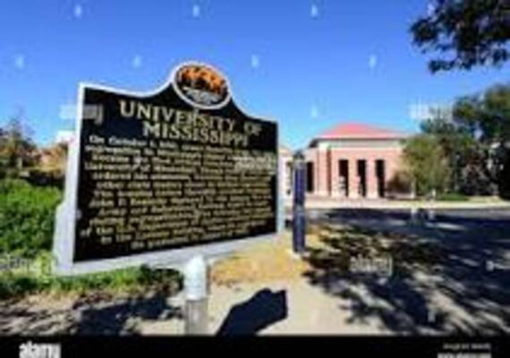 Daniel Martin Nester Profile Photo