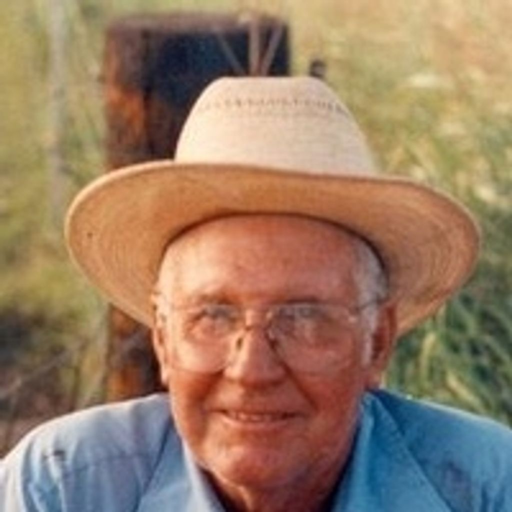 Harold Lloyd Davis