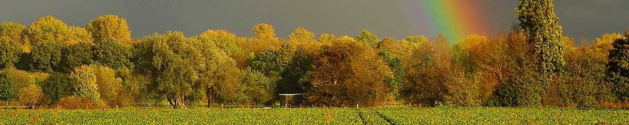 Cover photo for Bruce A. Trotter's Obituary