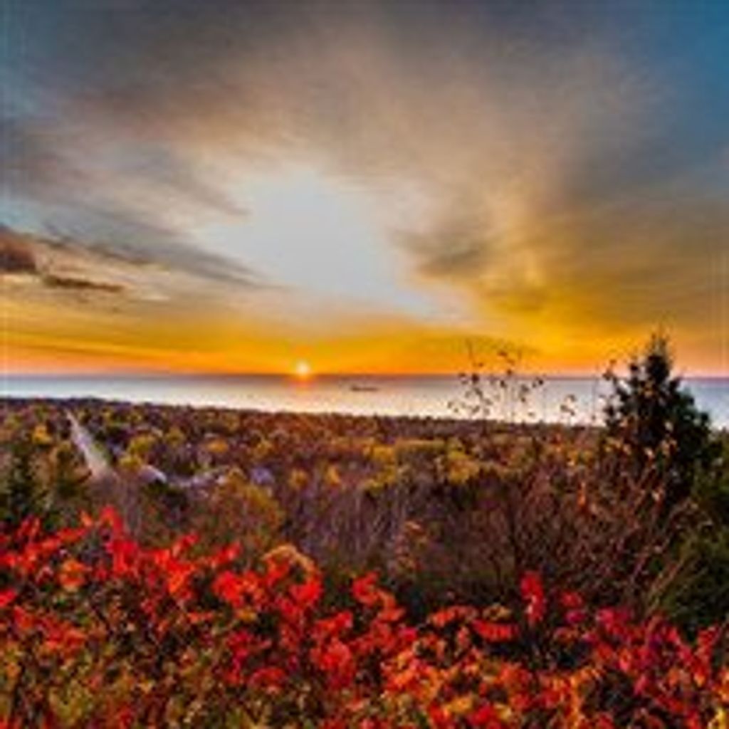 Bruno Rudolph "Rudy" Michelizzi