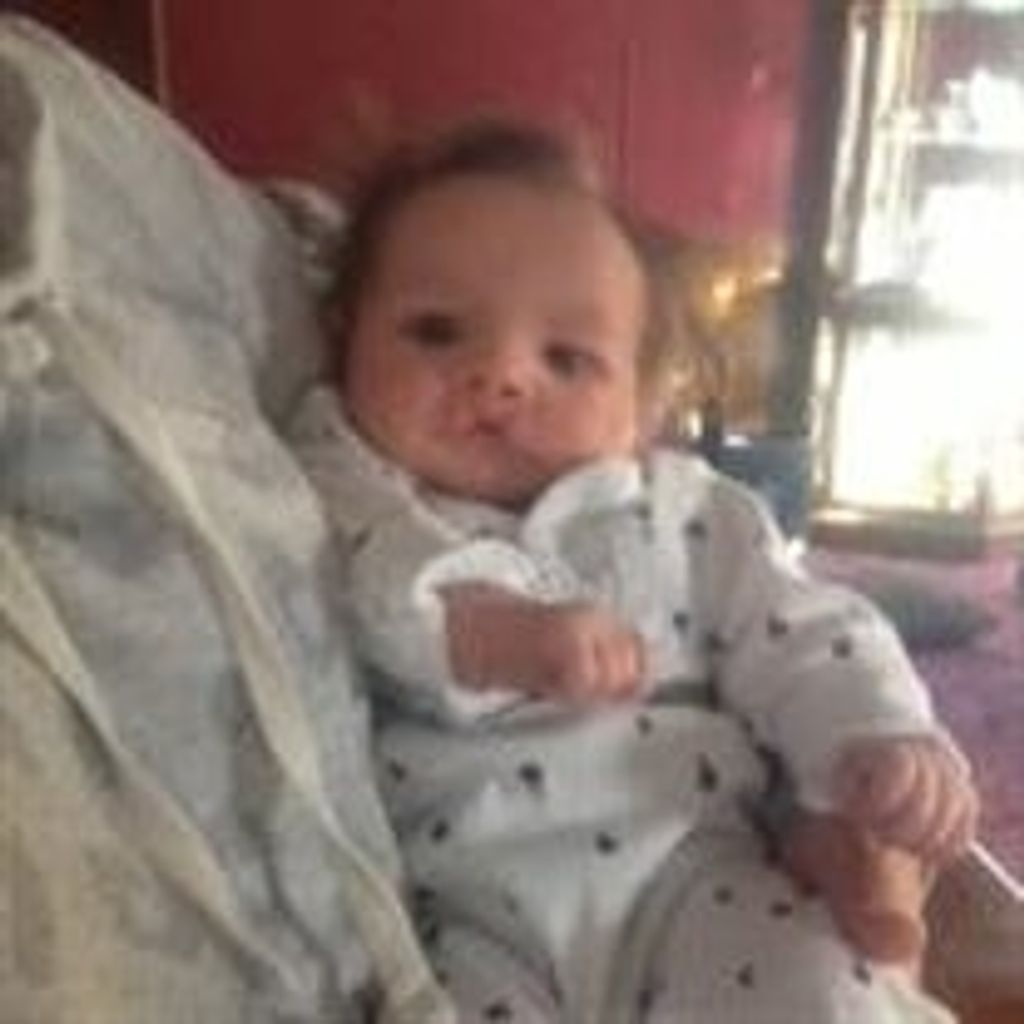 Boston Jagger Smith