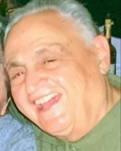 Dr. Frank Treccase, Professor Emeritus Profile Photo