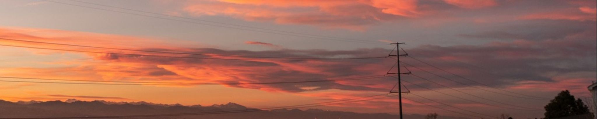 Cover photo for Sharon Bakke's Obituary