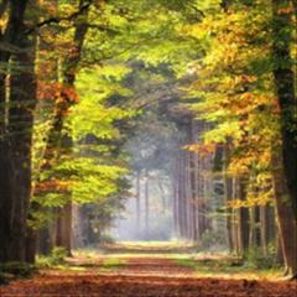 Jason Bernard Clark Profile Photo