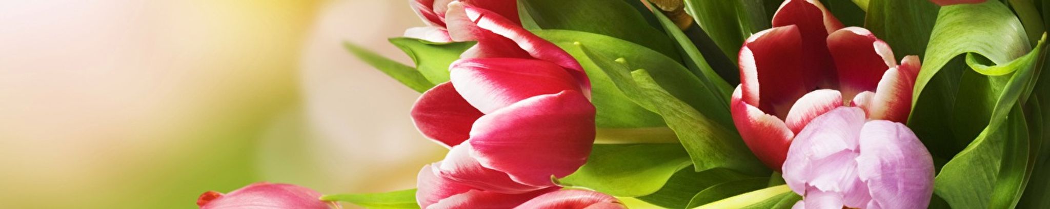Cover photo for Joan Mary Parker's Obituary