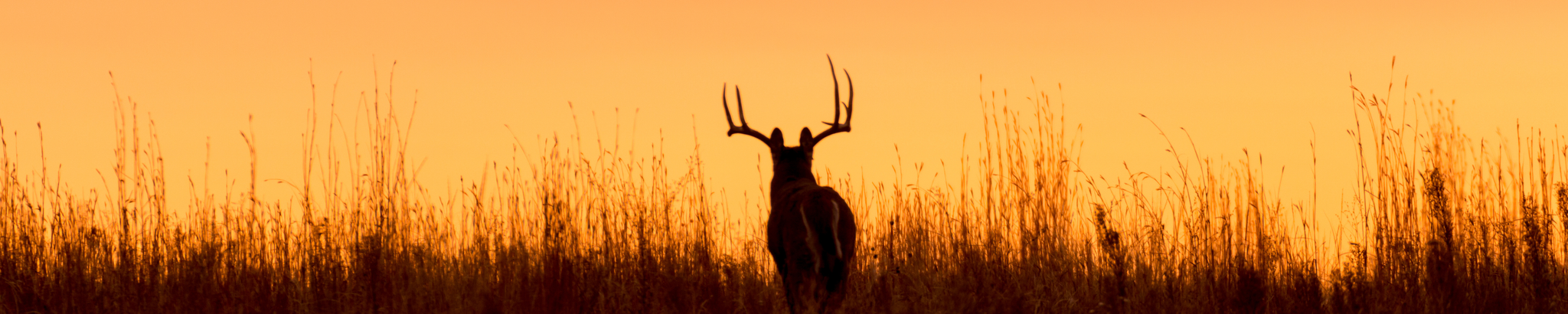 Cover for Carl "Kelly" Edward Larson's Obituary