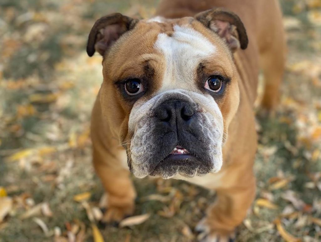 Polly Profile Photo