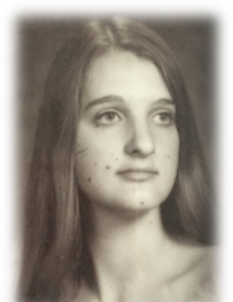 Teresa  Ann Henry