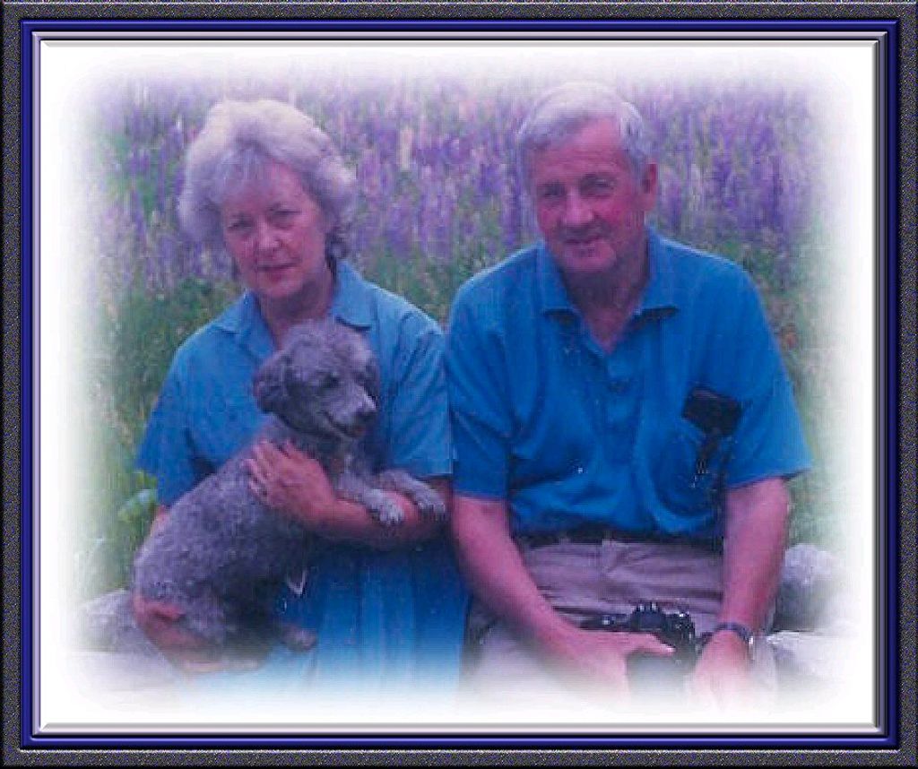 Raymond Sterle Keniston