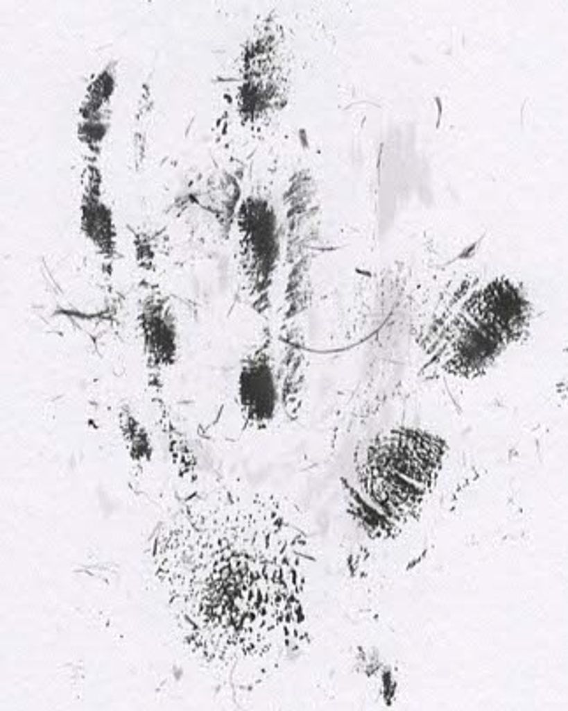 George London Profile Photo