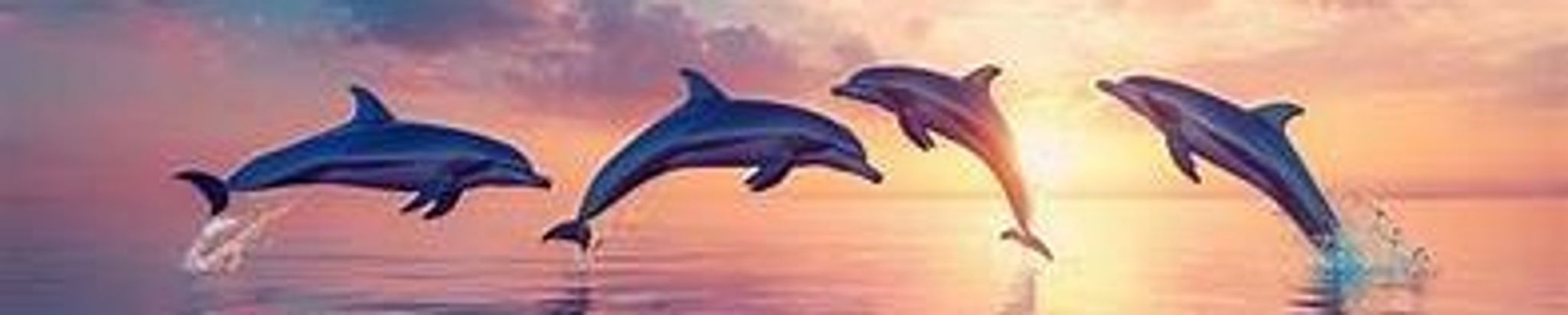 Cover for Marissa Kate (Dunaway) Wirth's Obituary