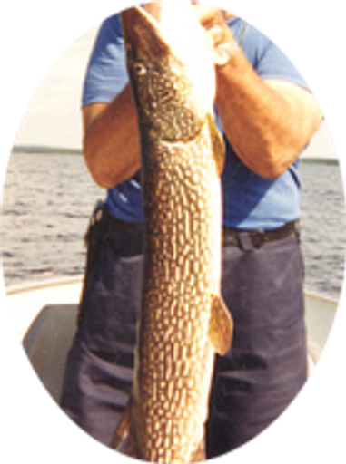 James Nelson Profile Photo