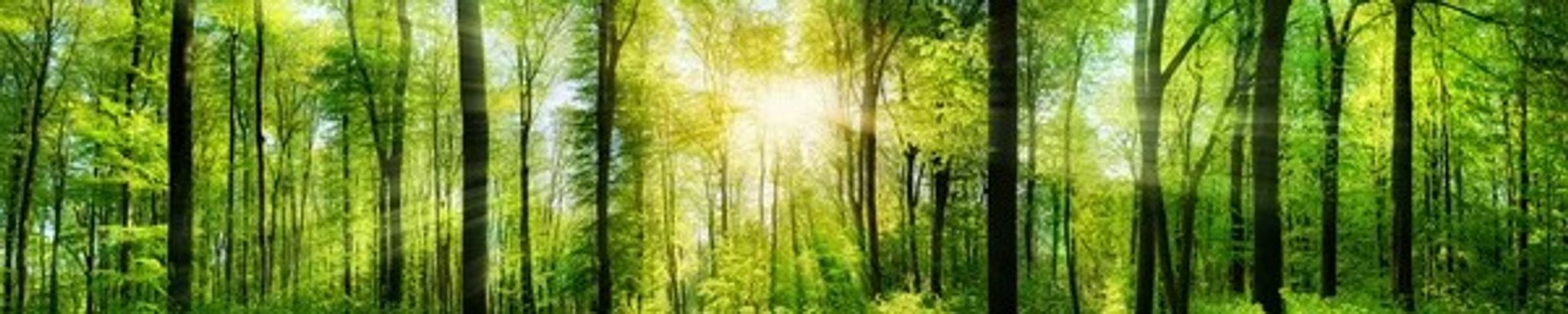 Cover photo for Mary L. Huppuch's Obituary