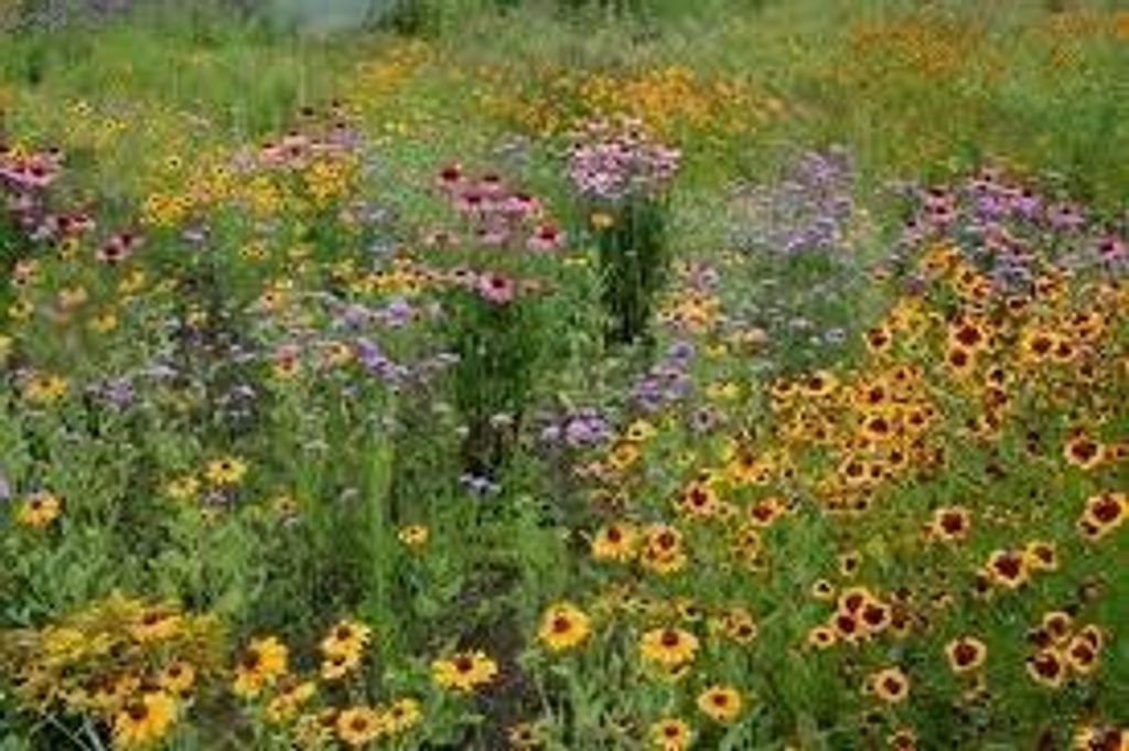 Robert J Driscoll Profile Photo