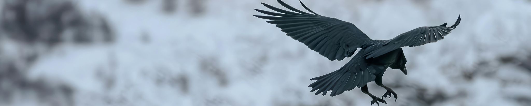 Cover for Robert Gryszkiewicy Jr.'s Obituary