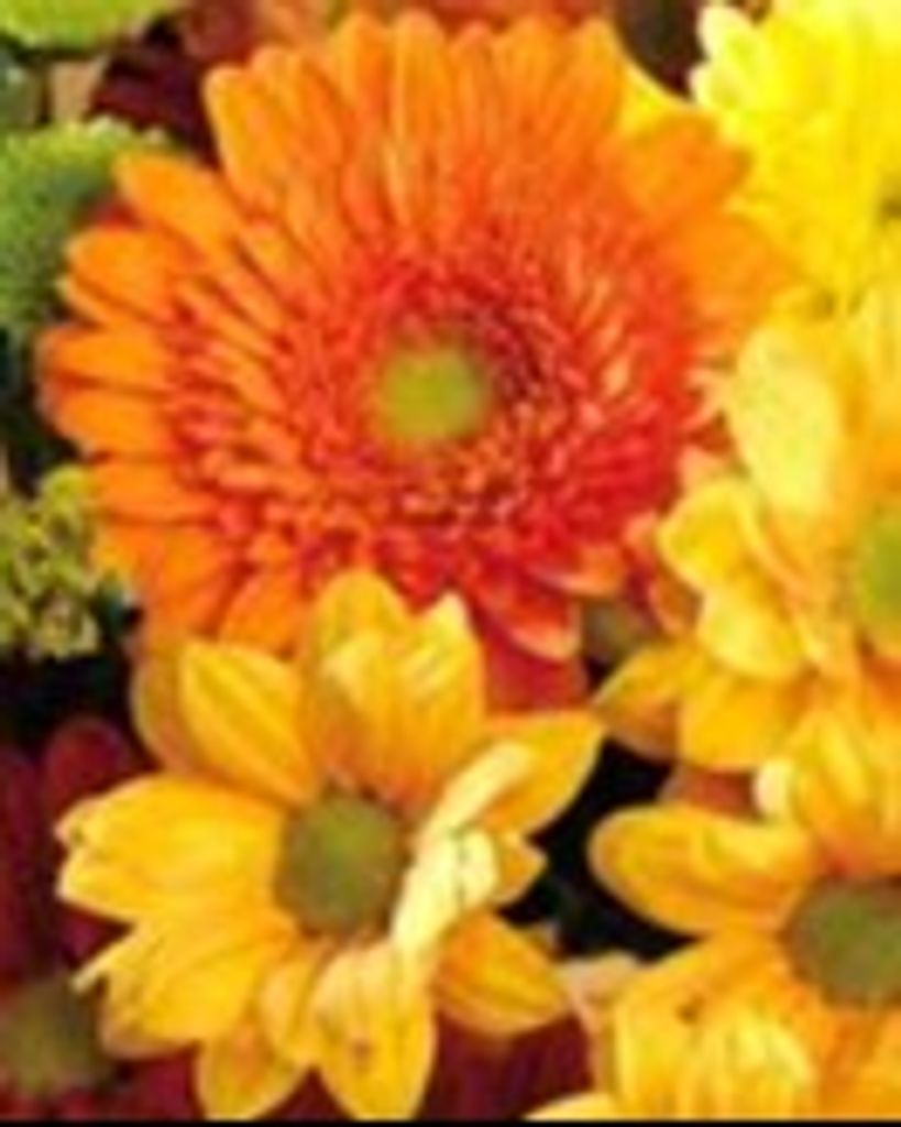 Pattie Crissman Pack Profile Photo
