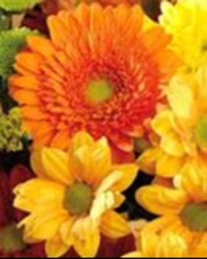 Pattie Crissman Pack's obituary image