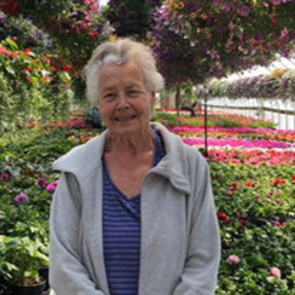 Lois Ann Larscheid