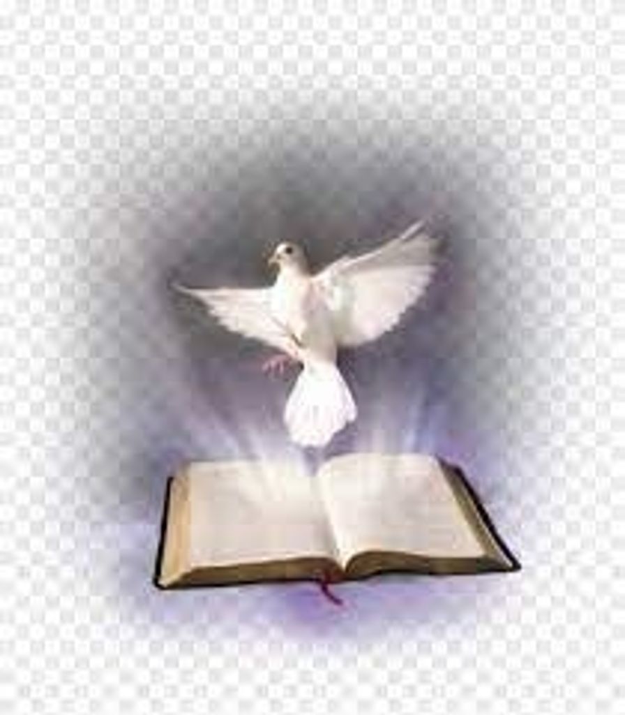 Marlin Scott Profile Photo